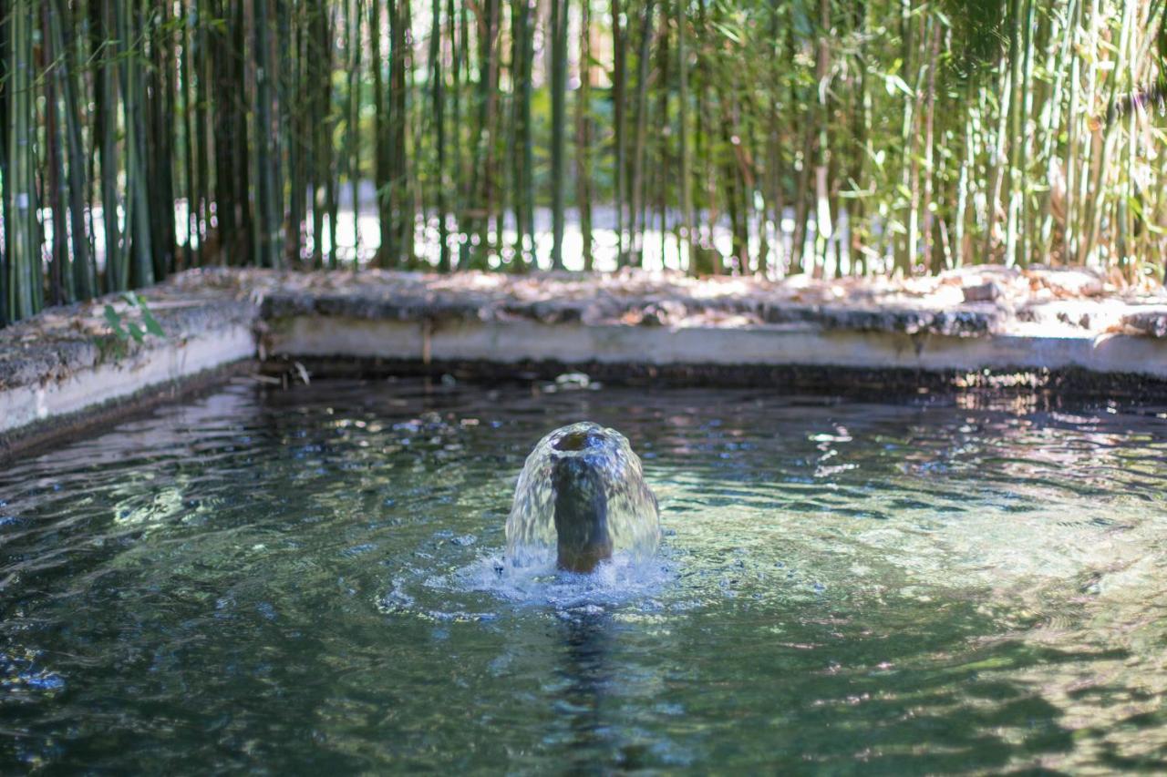 Las Aguas del Arbuniel con Pista de Pádel Exterior foto